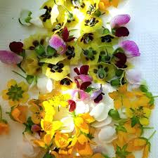 Yemeklerinizi Şenlendirecek Yenilebilir Çiçekler